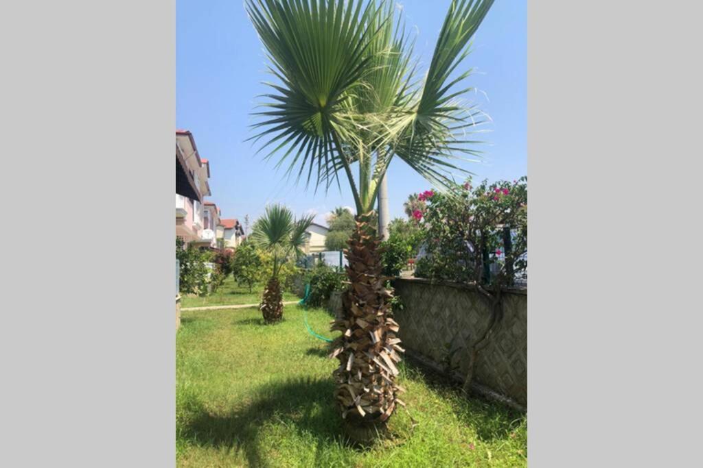 Peaceful House Βίλα Φετιγιέ Εξωτερικό φωτογραφία